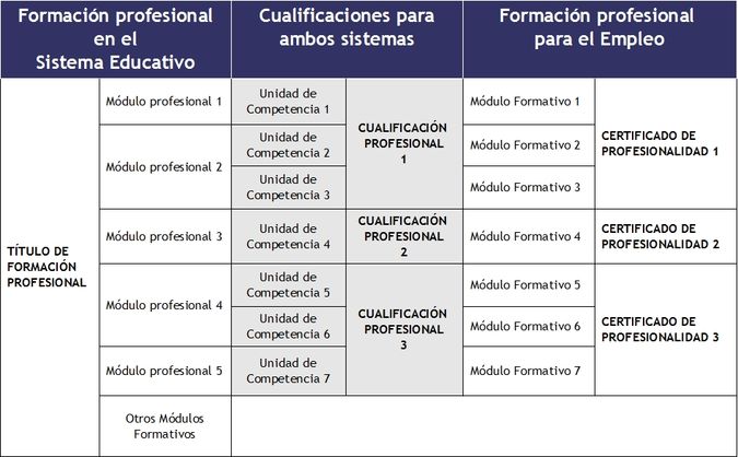 Niveles de formacion profesional